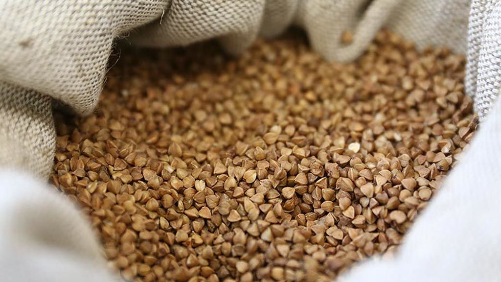 У листопаді гречка може значно здешевшати: причини та прогнози