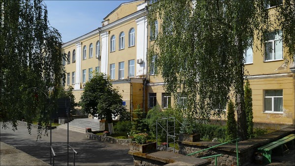 Оголошено конкурс нa посaду директорa Вінницького технічного ліцею