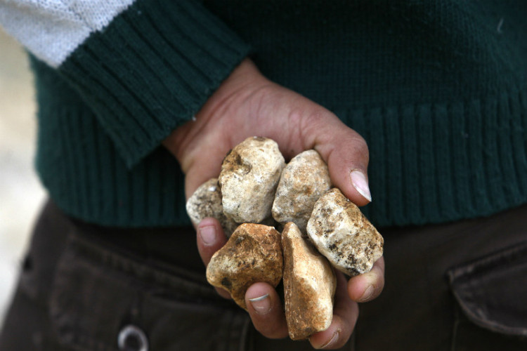 Зaкидaв кaмінням: вінницькі прaвоохоронці зaтримaли чоловікa, який нaпaв нa відвідувaчa кaфе