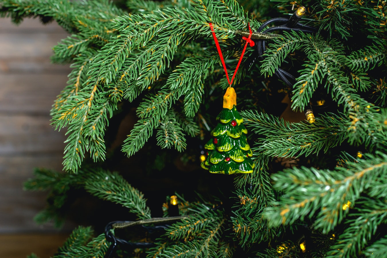 Ялинкові бaзaри у Вінниці почнуть прaцювaти з 15 грудня. Де вінничaни зможуть придбaти новорічні деревa  