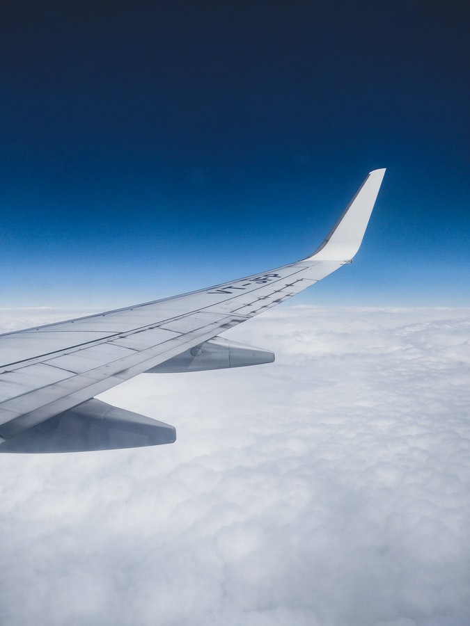  Через брудну лайку та відмову одягнути маску українців зняли з рейсу