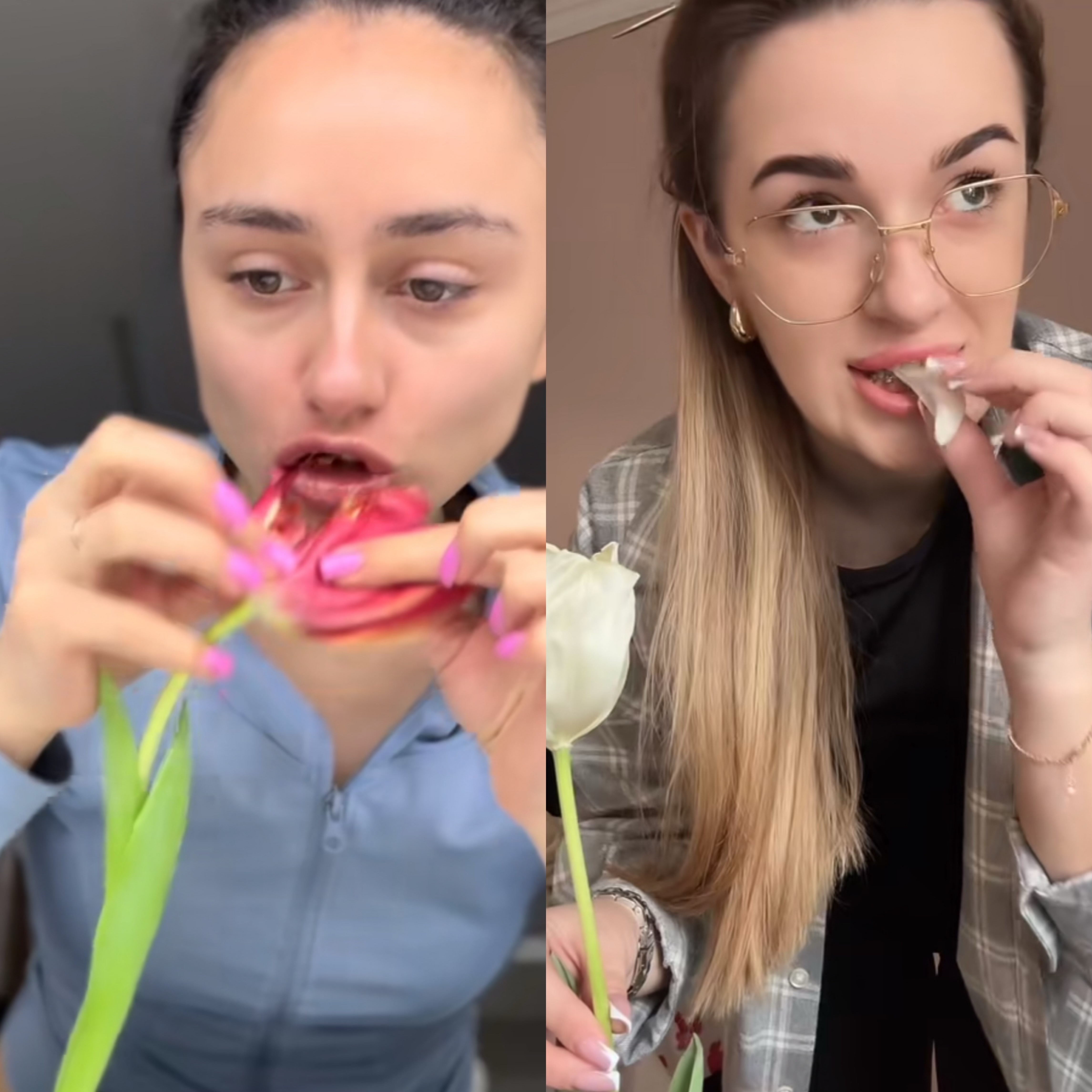 Їстівний тренд: чому українці масово їдять тюльпани? 