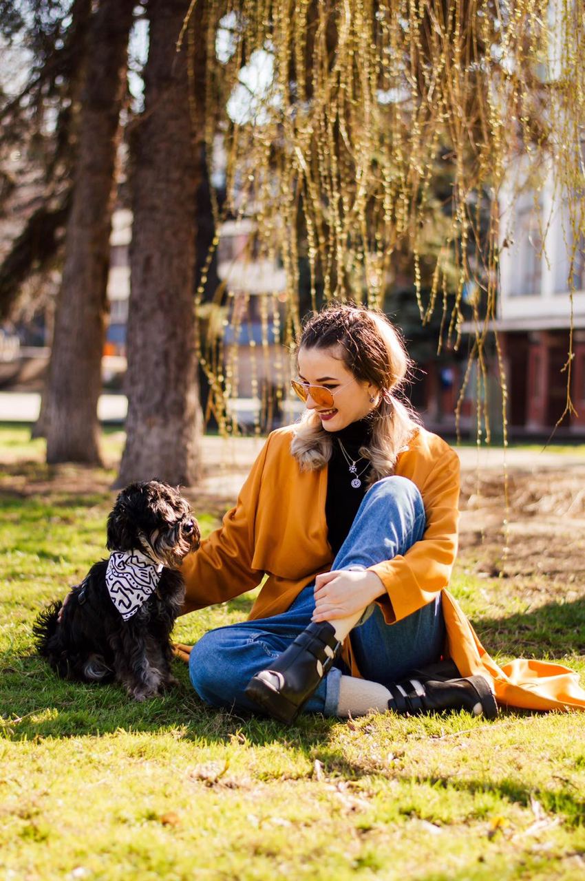 Як впливає електроошийник на психіку вашого улюбленця