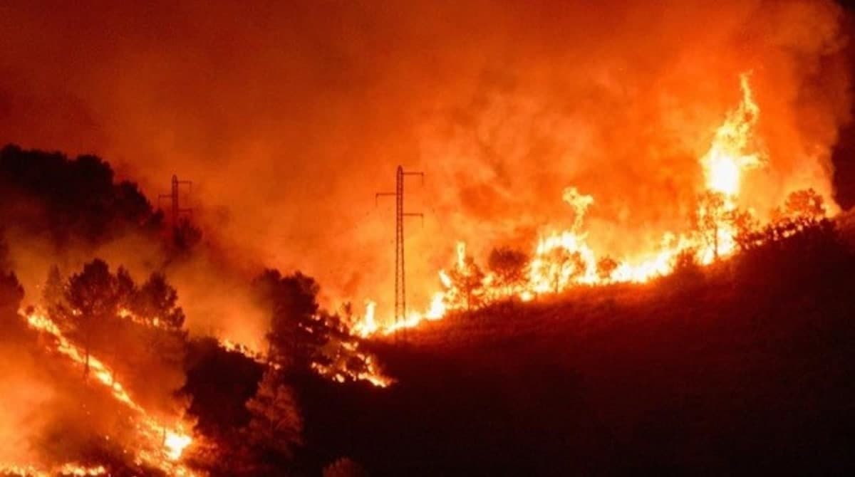 В Іспанії тривають масштабні лісові пожежі: евакуйовано 2 тисячі жителів