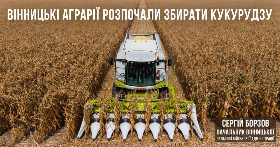 Вінницькі аграрії розпочали збирати кукурудзу