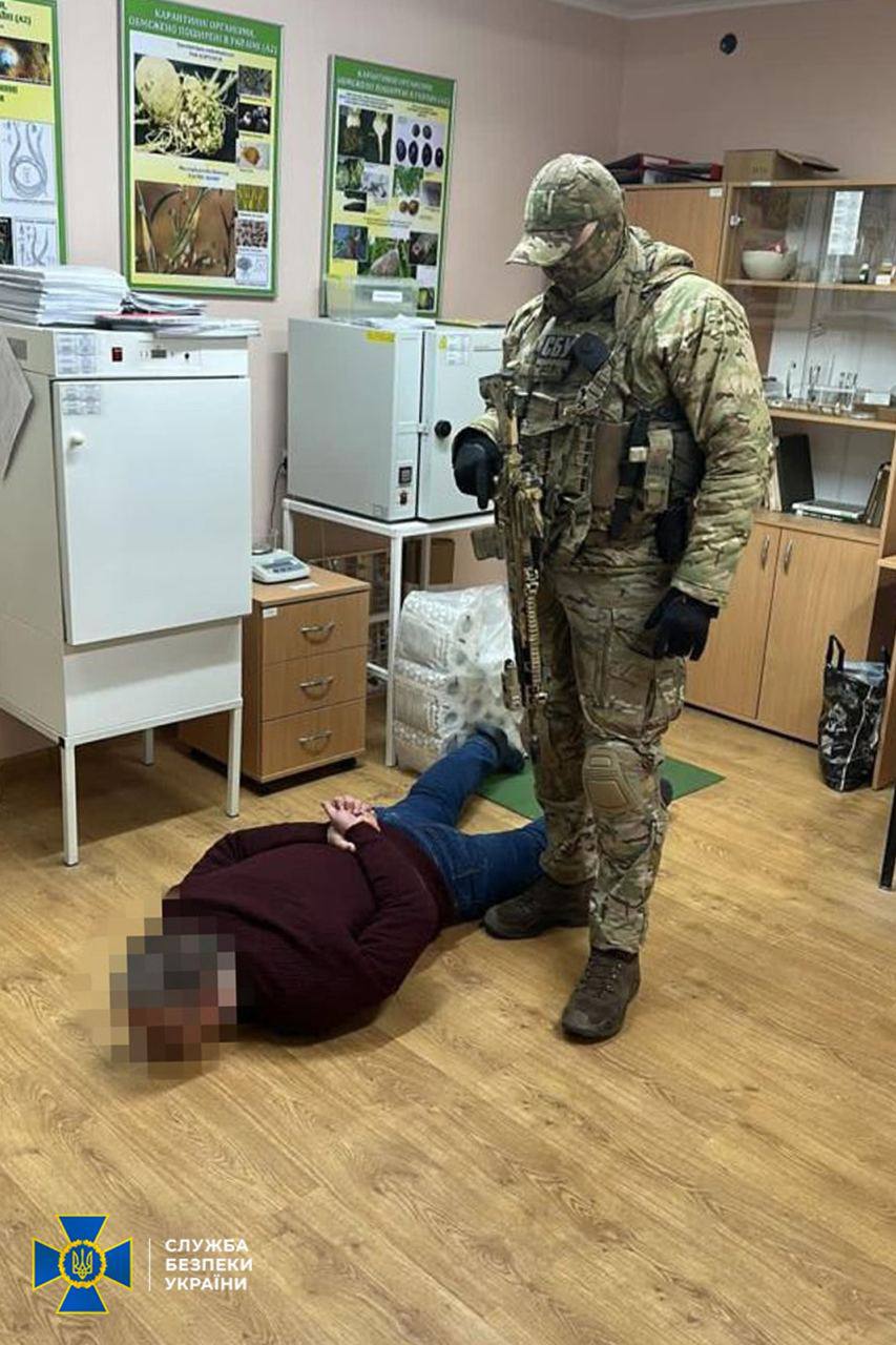СБУ ліквідувала корупційну схему, пов’язану із «зерновою угодою»