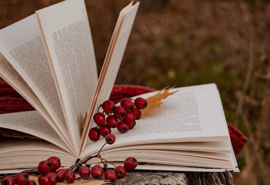 До написання Всеукраїнського радіодиктанту Національної єдності-2022 долучились члени Волонтерського штабу "Українська команда" Вінниччини