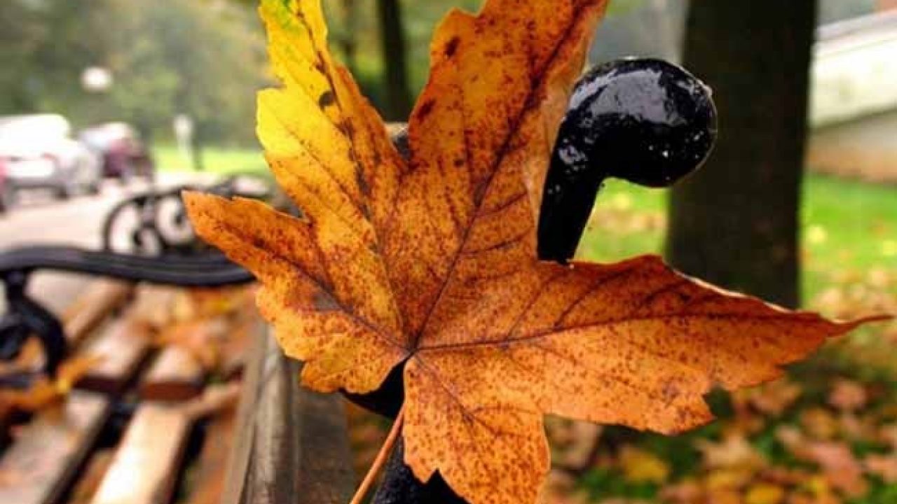 В Україні очікується мороз до -5 °: оголошено I рівень небезпеки