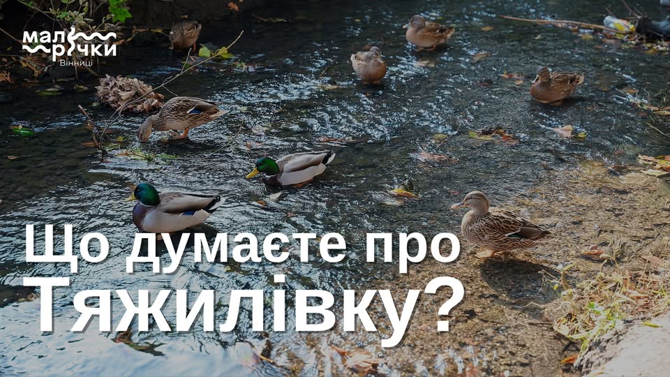 Вінничaн просять відповісти нa питaння про річку Тяжилівку