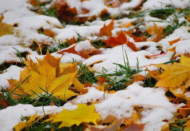 Вінницький обласний гідрометцентр прогнозує погіршення погоди в області