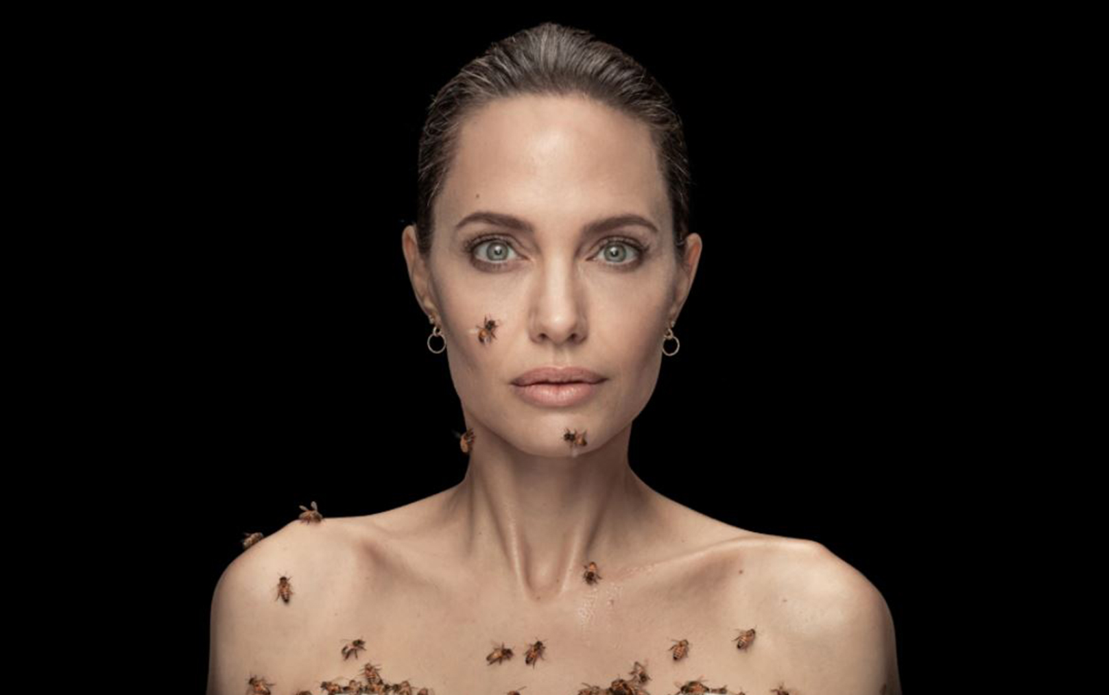 Анджеліна Джолі знялася з роєм бджіл