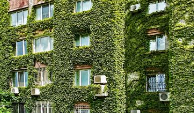 Науковиця розповіла, як можна «охолодити» Вінницю 