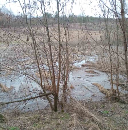 На Вінниччині через інтернет-застосунок повідомили про витік нечистот 