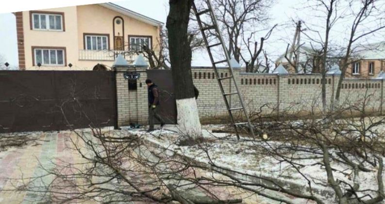 Вінничанин вирішив допомогти зеленбудівцям і отримав протокол