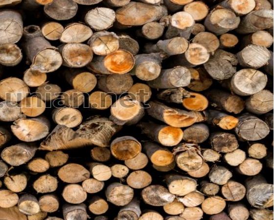 Вінничанам розповіли, для кого міська комунальна служба заготовляє дрова