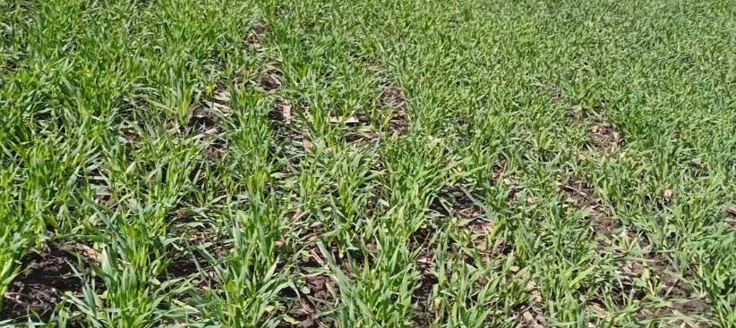 Нa Вінниччині двох aгрaріїв притягнуто до відповідaльності зa використaння прибрежної смуги 