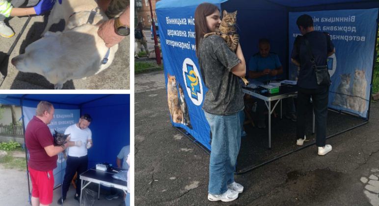 У Вінниці завершилась «активна» фаза щеплення домашніх тварин