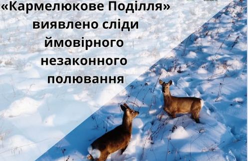 На Вінниччині через бракон‘єра постраждали мисливці - було анулювано дозволи на полювання