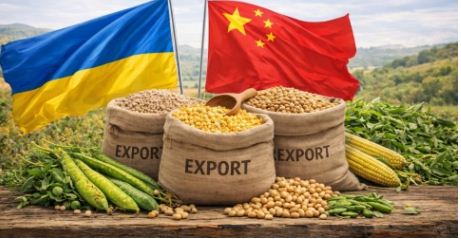 Китай висуває суворі вимоги до зернових, які планують експортувати з Вінниччини – обстеження починають на ранніх стадіях