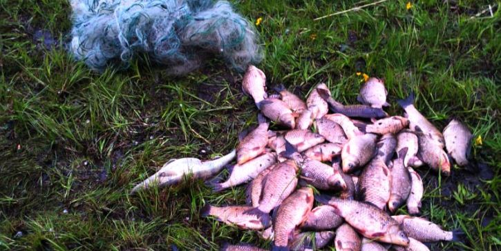 На Вінниччині судитимуть рибалок, які ловили рибу під час нересту