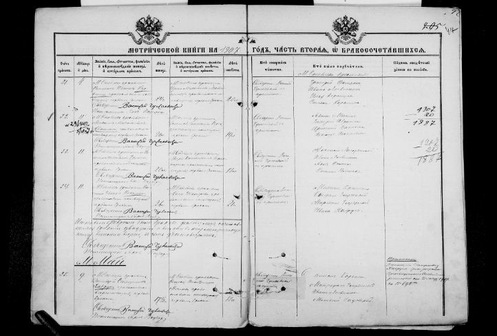 Вінницький дослідник родоводів розповів, коли дівчата виходили заміж