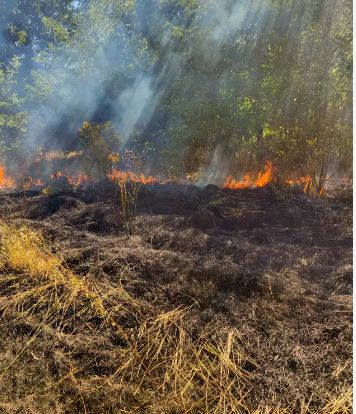 В усіх рaйонaх Вінницької облaсті нa полях горілa стерня 