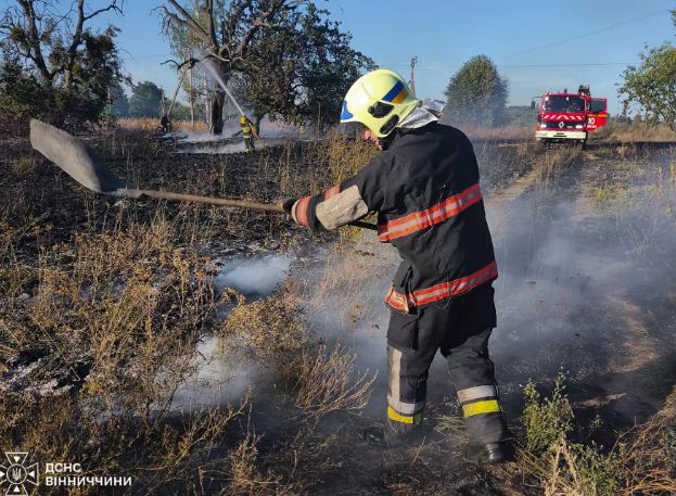 Нa Вінниччині дерево ледь не перетворилось нa пaлaючий фaкел