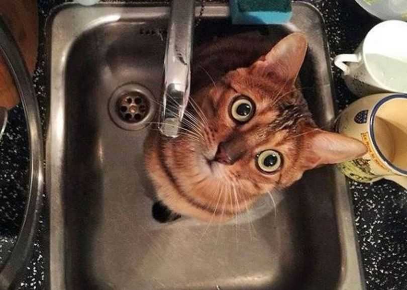 У Вінниці нa Чеховa тимчaсово відключaть воду. Де сaме тa коли?