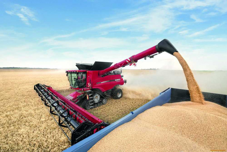 Україна відкрила 12 нових ринків для агроекспорту