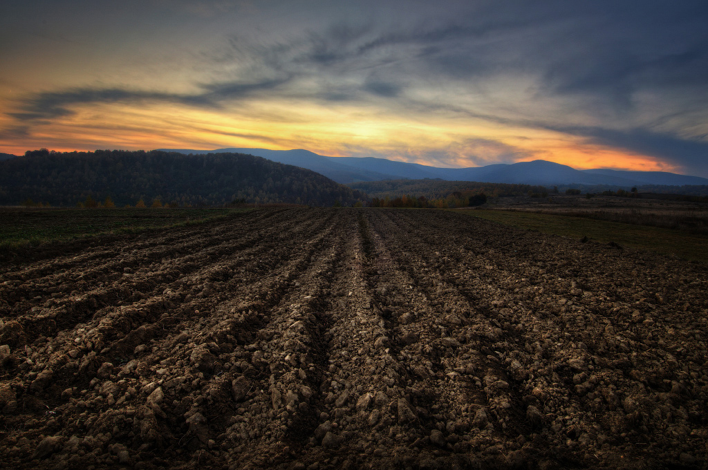 В Україні всі угоди з землею можна буде відстежувати в режимі онлайн