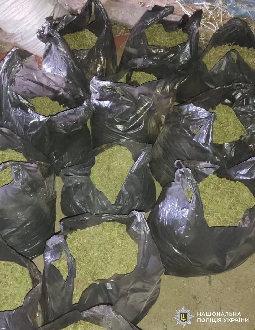 9,5 років за ґратами: жителя Вінниччини засудили за зберігання майже 50 кг канабісу