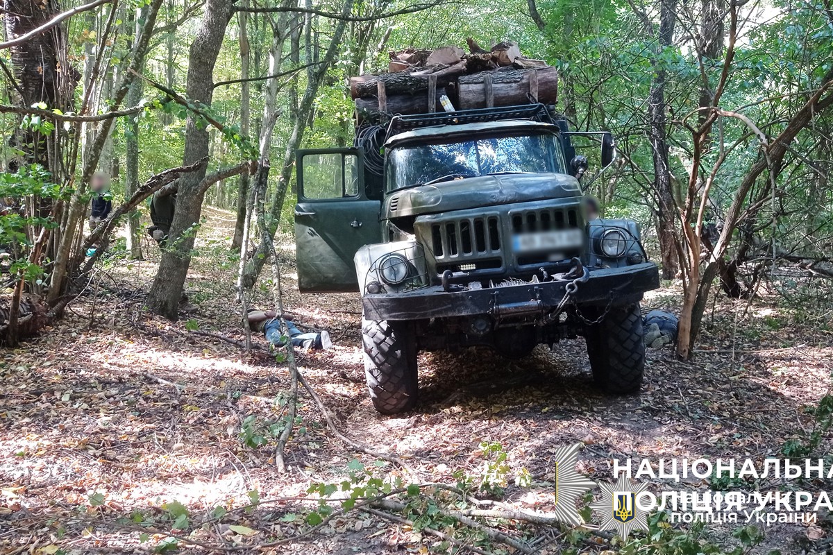 Поліція викрила «чорних лісорубів», які нищили ліси Кармелюкового Поділля
