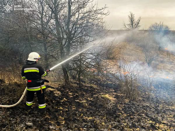 27 пожеж за добу: рятувальники Вінниччини ліквідували займання в житловому секторі та екосистемах
