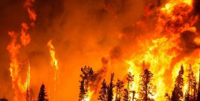 На Вінниччині невідомий навідався до обійстя старого і підпалив солому