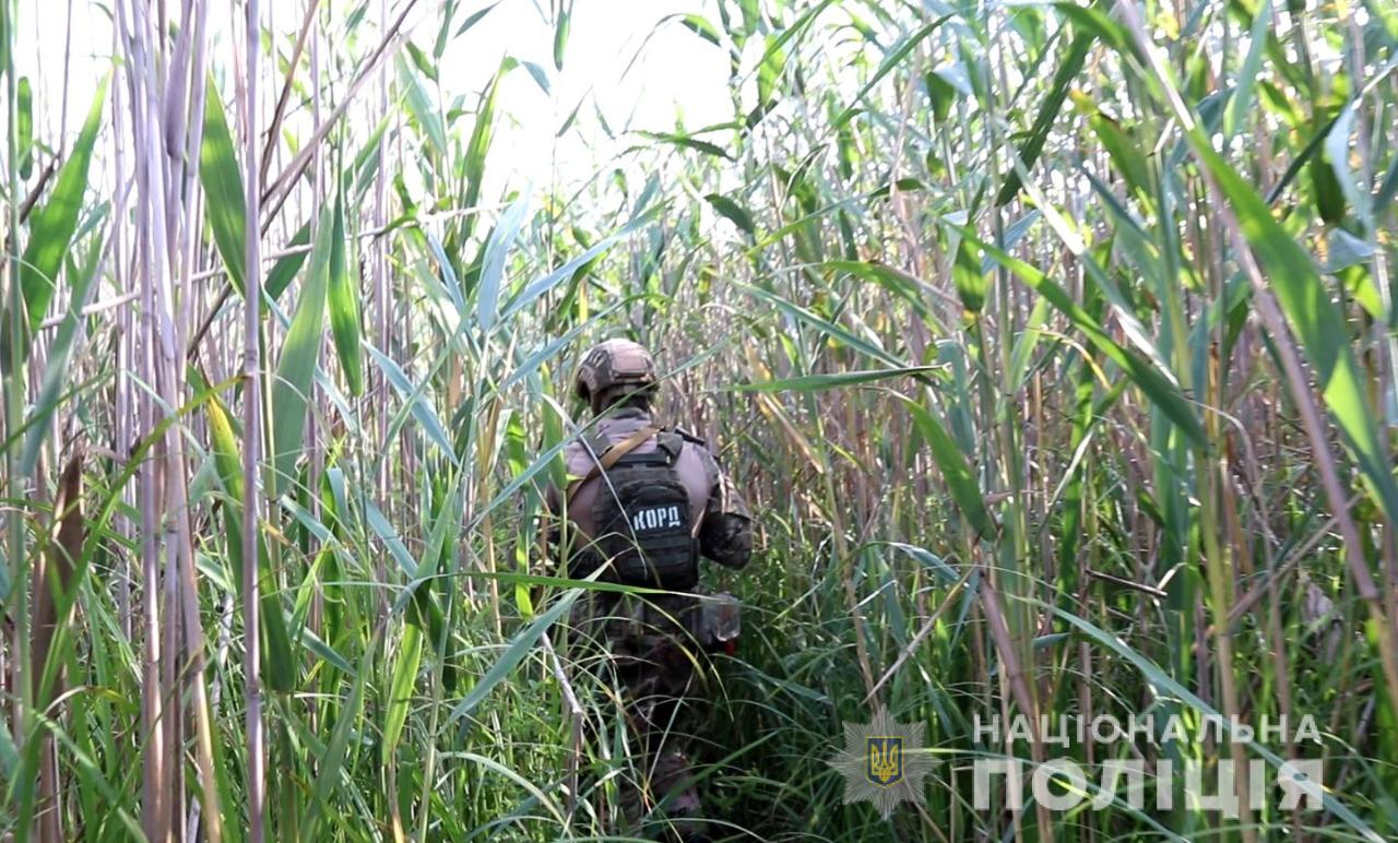 В Херсонській області була знайдена плантація каннабісу вартістю понад 10 млн грн