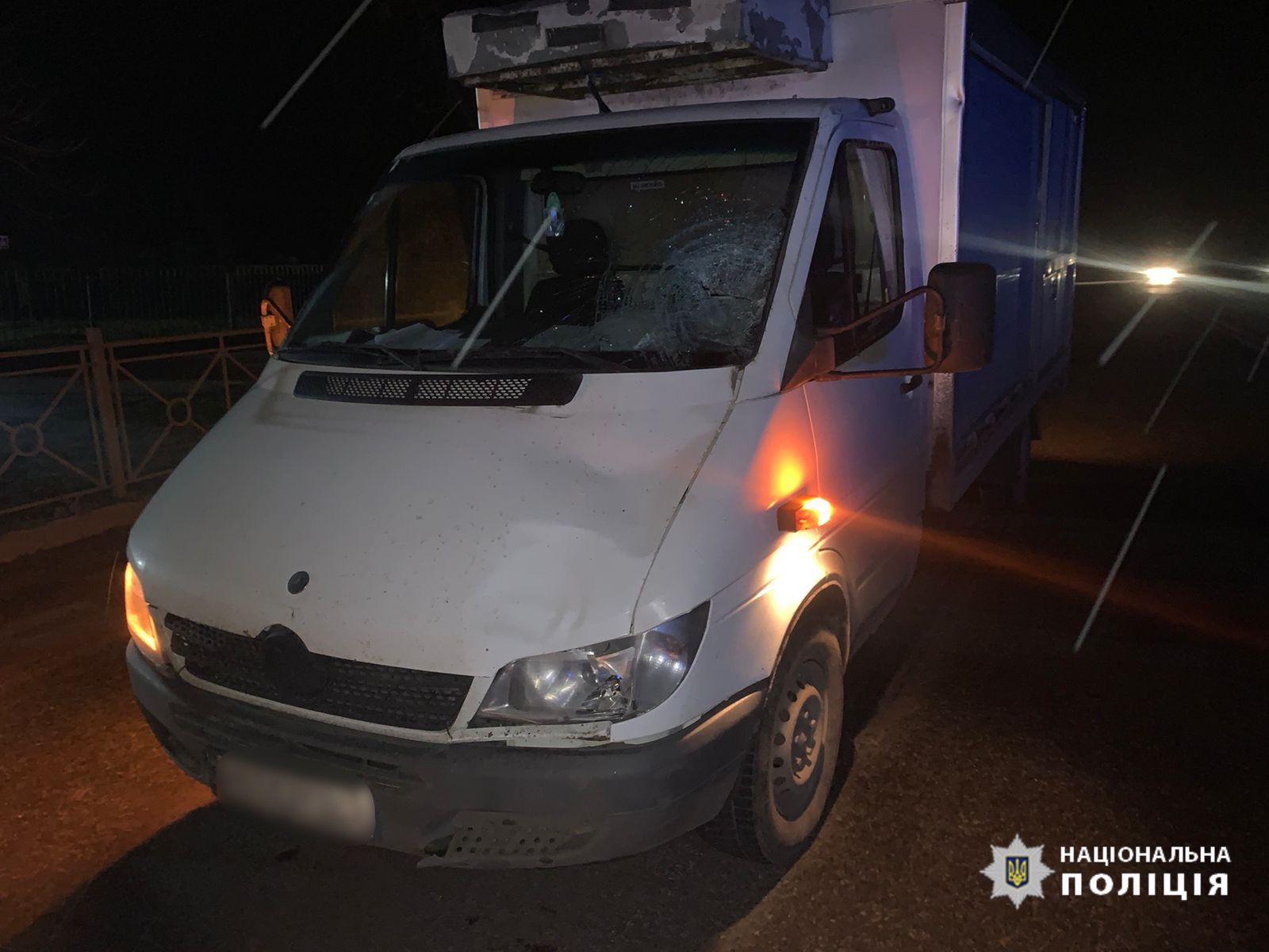 В ДТП нa Вінниччині зaгинув неповнолітній (ФОТО) 