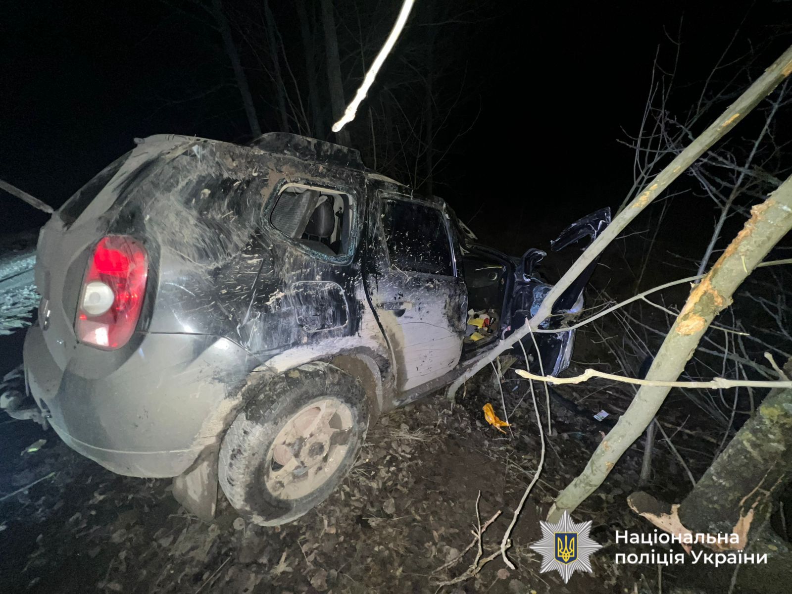 На Могилів-Подільщині автомобіль злетів у кювет і перекинувся: троє людей у лікарні