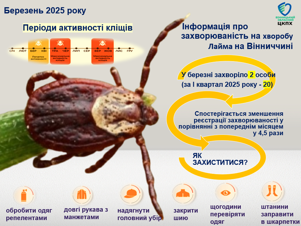 На Вінниччині зменшилась кількість випадків бореліозу: у березні зафіксовано лише 2