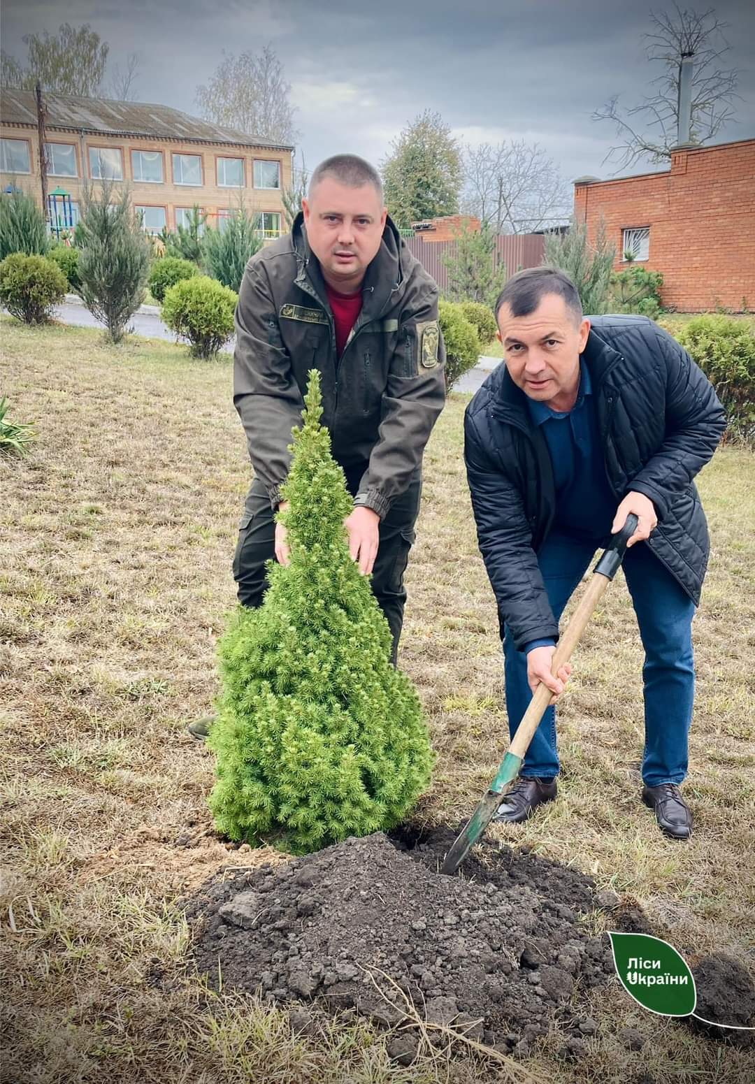 Дашівська громада Вінницької області відзначена за збереження лісів