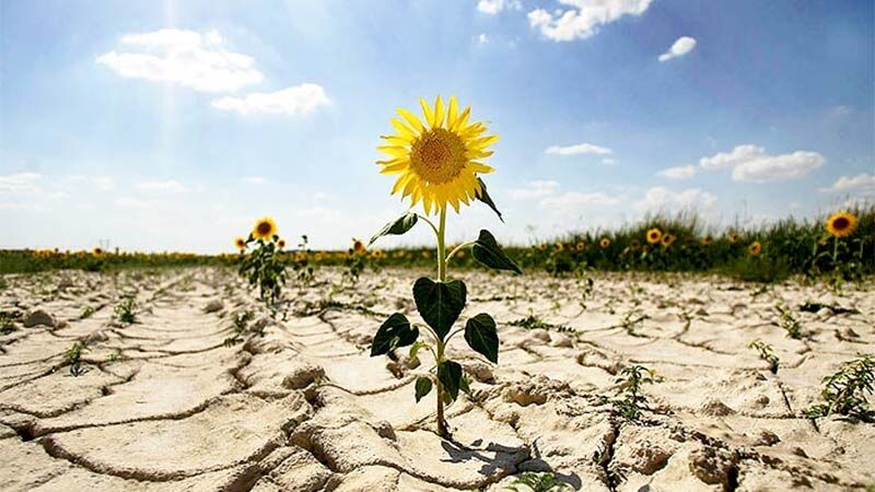 Україна переходить в зону надвисоких температур і погодних катаклізмів, - вчені