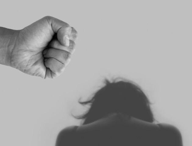 Депутати підтримали закон щодо посилення відповідальності за домашнє насильство