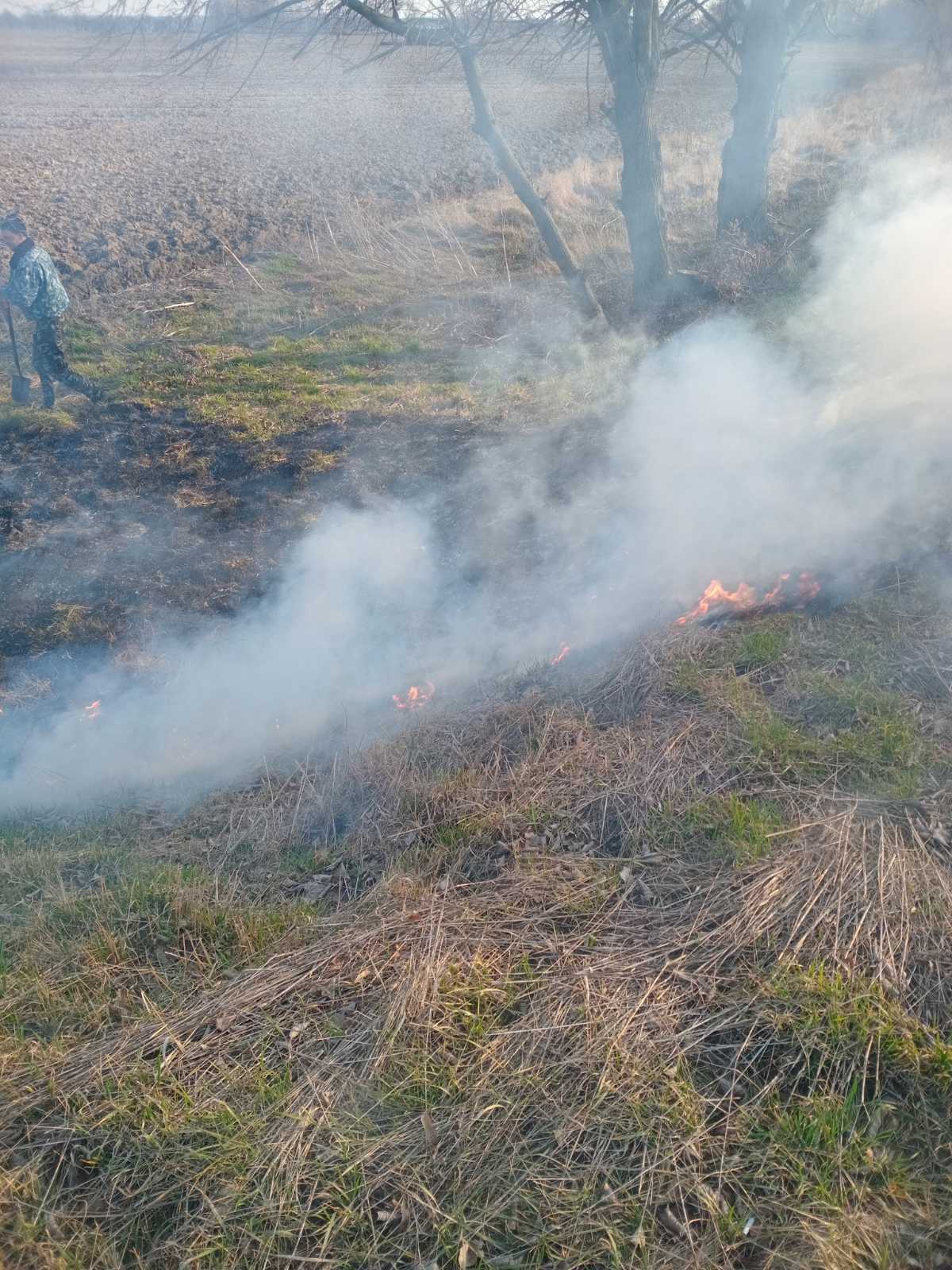 Нa Віннниччині «пaлій» отримaв штрaф