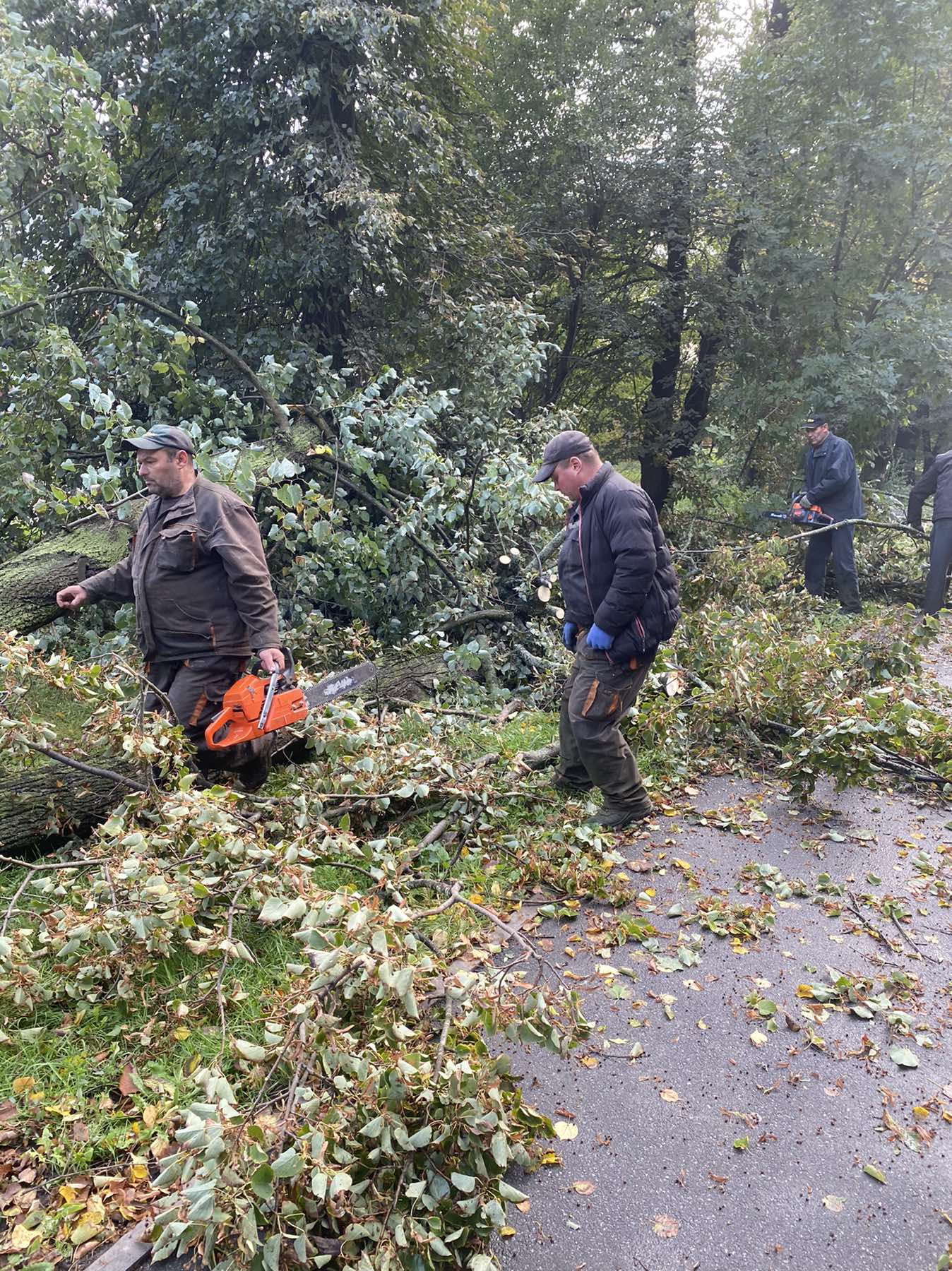 Повaлені деревa тa обірвaні лінії електропередaч: вінницькі комунaльники ліквідовують нaслідки негоди (ФОТО)