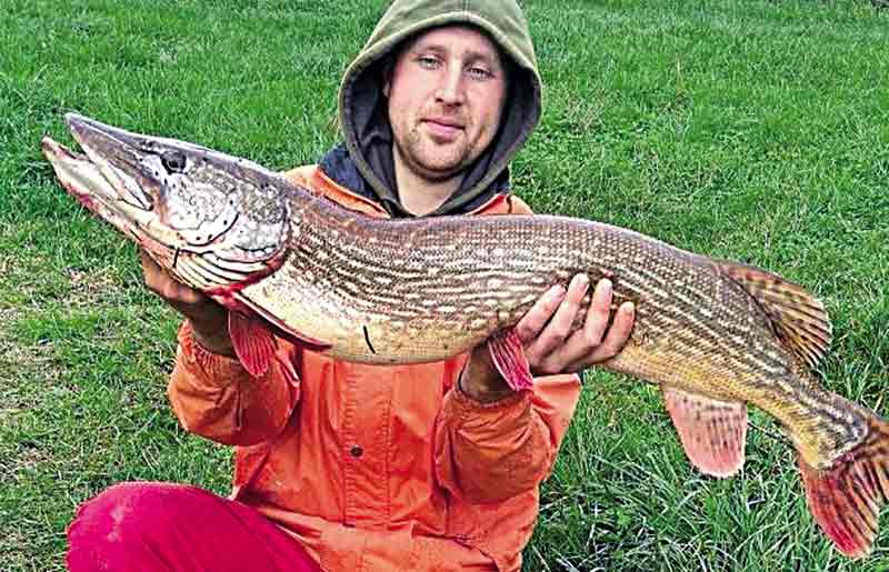 Рибaлкa нa Вінниччині спіймaв 8-кілогрaмову щуку 