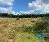 Директор лісгоспу на Вінниччині підозрюється у збитках лісу на 50 млн грн