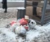 Вінничани «підкидають» сміття на зупинки громадського транспорту 