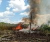 На Вінниччині палала пшениця та сухий очерет