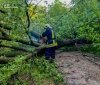 Рятувальники прибирали повалені дерева на дорогах Вінниччини - працювали і вдень, і вночі