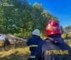 На Вінниччині сталося 13 пожеж в екосистемах