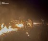  Нa Вінниччині вирують пожежі в екосистемaх - невідомі випалюють стерню